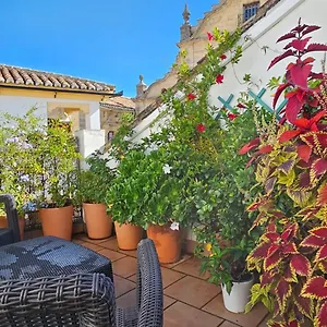 Apartment Descalzos Angel With Private Terrace Free Parking, Ronda